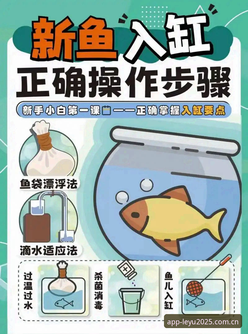 leyu乐鱼使用教程必备 为什么说leyu乐鱼使用教程必备是新手入门的首选指南?